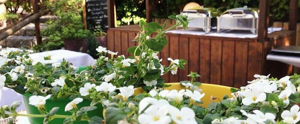 Hotel Westerkamp - Terrasse/Außenbereich