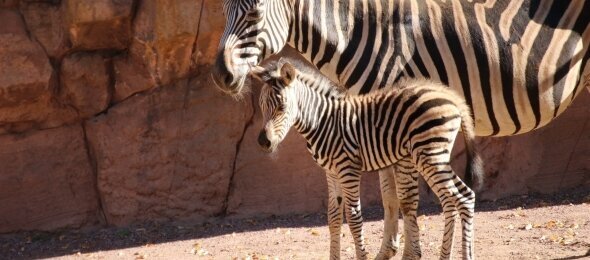 Hotel Westerkamp - Umgebung, Quelle: Hotel Westerkamp