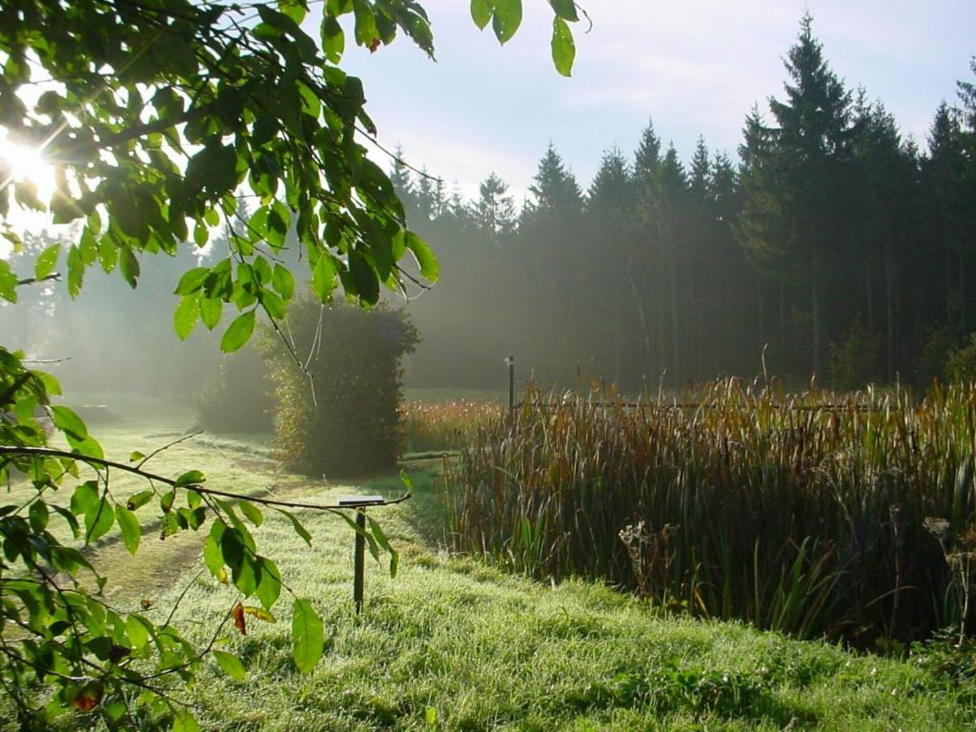 Romantische Wellnesstage im Erzgebirge