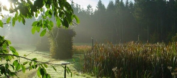 Hotel Zollhaus - Terrasse/Außenbereich, Quelle: Hotel Zollhaus 