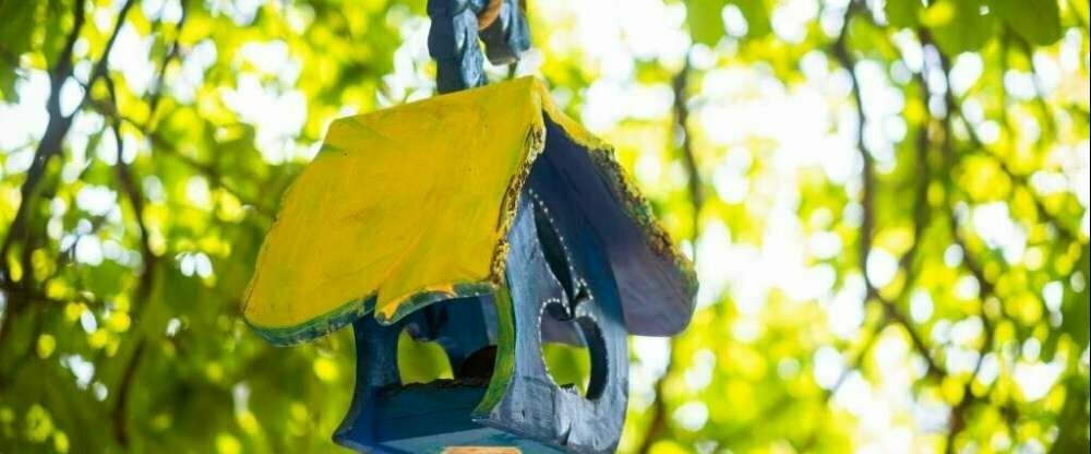 Hotel Zollhaus - Umgebung