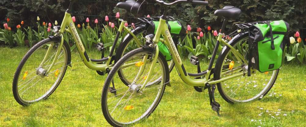 Hotel Zum Goldenen Löwen - Umgebung