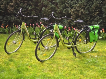 Array, Quelle: Hotel Zum Goldenen Löwen