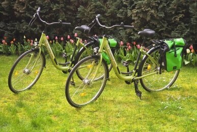 Array, Quelle: Hotel Zum Goldenen Löwen