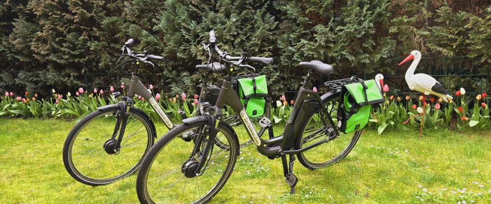 Hotel Zum Goldenen Löwen - Umgebung