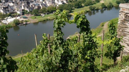 Hotel.Restaurant Zur Marienburg  - Umgebung