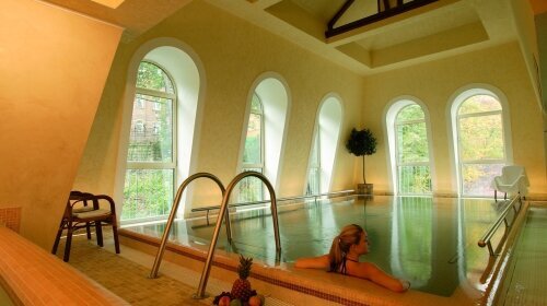 Humboldt Park Hotel & Spa - Wellnessbereich
