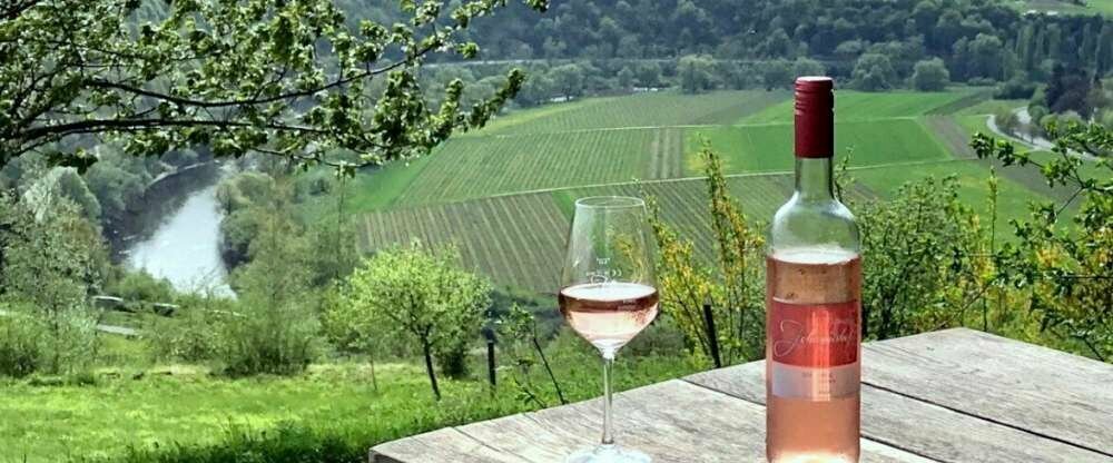 Johannishof Wein-Café & Gästehaus - Restaurant