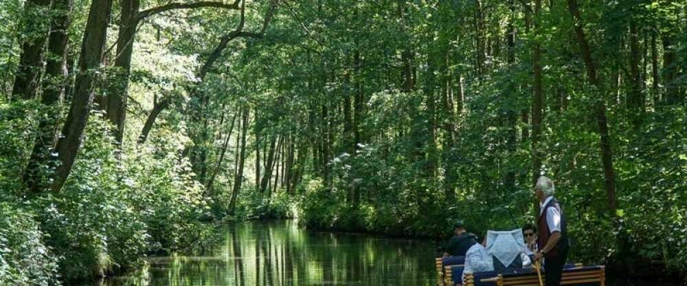 Kahnfahrt direkt vom Hotel aus in den Hochwald
