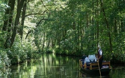 Kahnfahrt direkt vom Hotel aus in den Hochwald