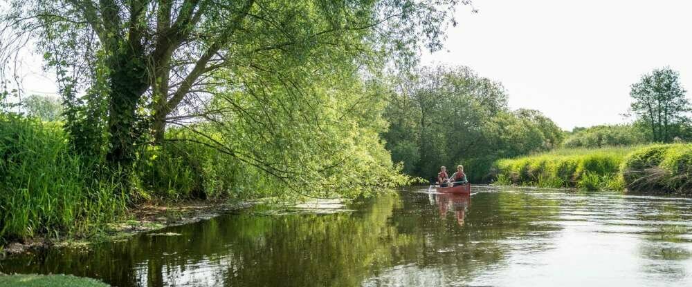 Kanufahren auf der Ilmenau