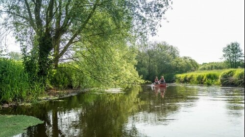 Kanufahren auf der Ilmenau