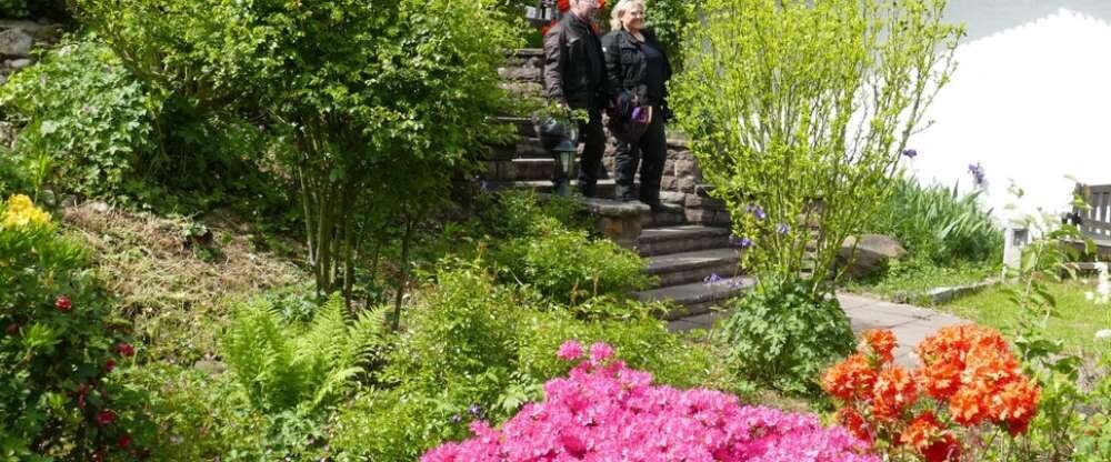 KIShotel am Kurpark - Terrasse/Außenbereich