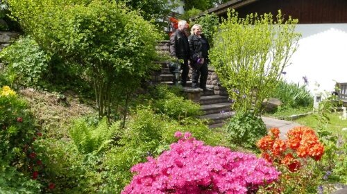 KIShotel am Kurpark - Terrasse/Außenbereich