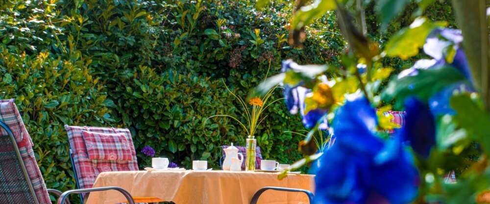 KIShotel am Kurpark - Terrasse/Außenbereich