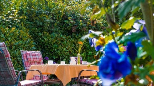 KIShotel am Kurpark - Terrasse/Außenbereich