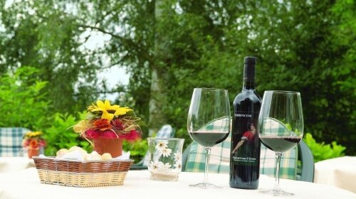 KIShotel am Kurpark - Terrasse/Außenbereich