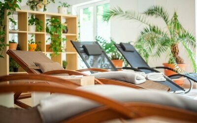 Kleines Landhotel Neue Mühle - Wellnessbereich