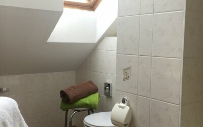 Badezimmer mit Dusche / WC im Komfort Einzelzimmer