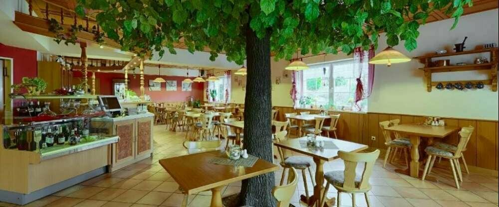 Kurhotel Auerhahn - Restaurant