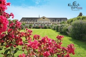 Sommer in der Pfalz