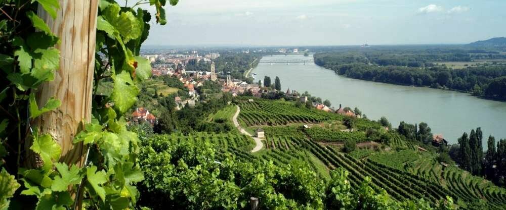 Lage bei den Weinbergen