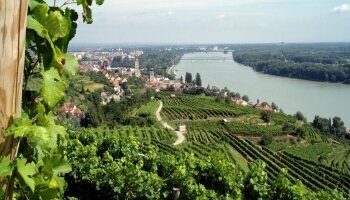 Lage bei den Weinbergen
