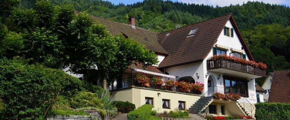 Landgasthof Grüner Baum - Hotel-Außenansicht