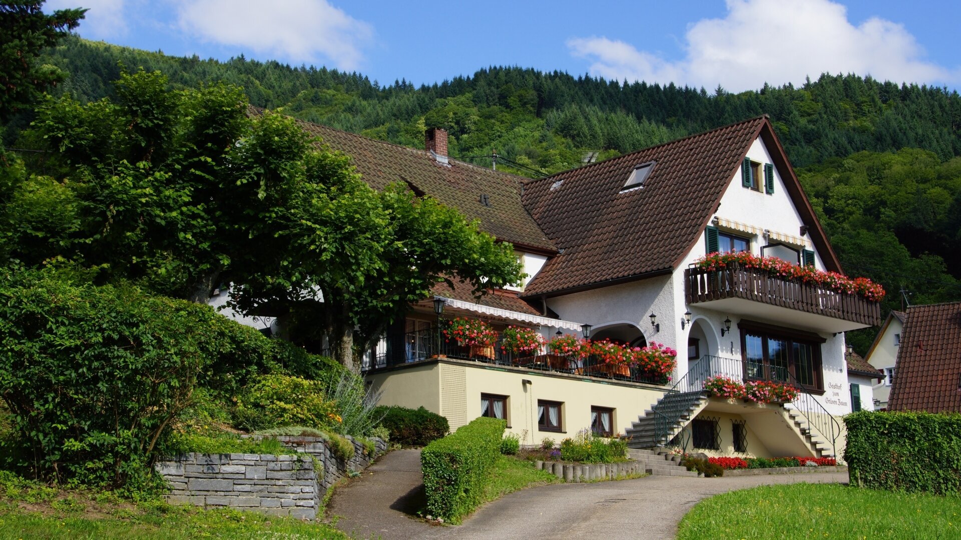 6 Tage Dreiländereck: Schwarzwald, Rhein & Vogesen