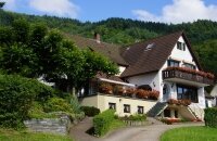 Landgasthof Grüner Baum - Hotel-Außenansicht