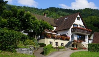 Landgasthof Grüner Baum - Hotel-Außenansicht