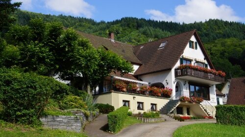 Landgasthof Grüner Baum - Hotel-Außenansicht