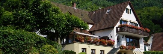 Landgasthof Grüner Baum - Hotel-Außenansicht, Quelle: Landgasthof Grüner Baum