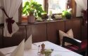 Landgasthof Grüner Baum - Restaurant