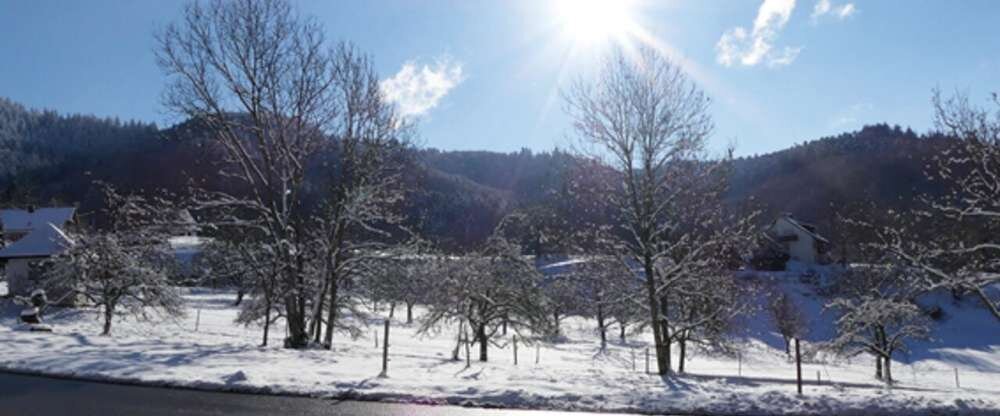 Landgasthof Grüner Baum - Restaurant