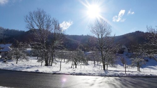 Landgasthof Grüner Baum - Restaurant