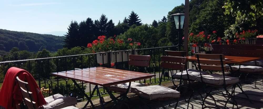 Landgasthof Grüner Baum - Terrasse/Außenbereich