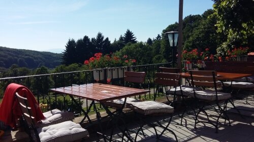 Landgasthof Grüner Baum - Terrasse/Außenbereich
