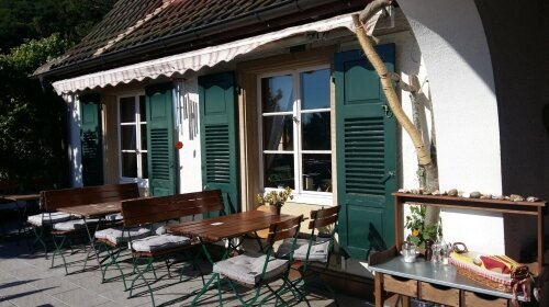 Landgasthof Grüner Baum - Terrasse/Außenbereich