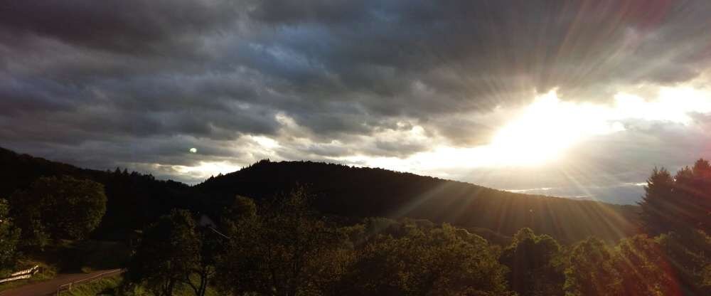 Landgasthof Grüner Baum - Umgebung