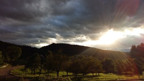 Landgasthof Grüner Baum - Umgebung