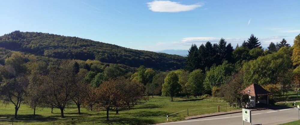 Landgasthof Grüner Baum - Umgebung