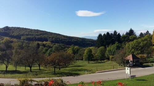 Landgasthof Grüner Baum - Umgebung