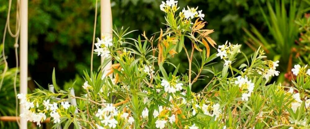 Landgasthof Lell - Umgebung