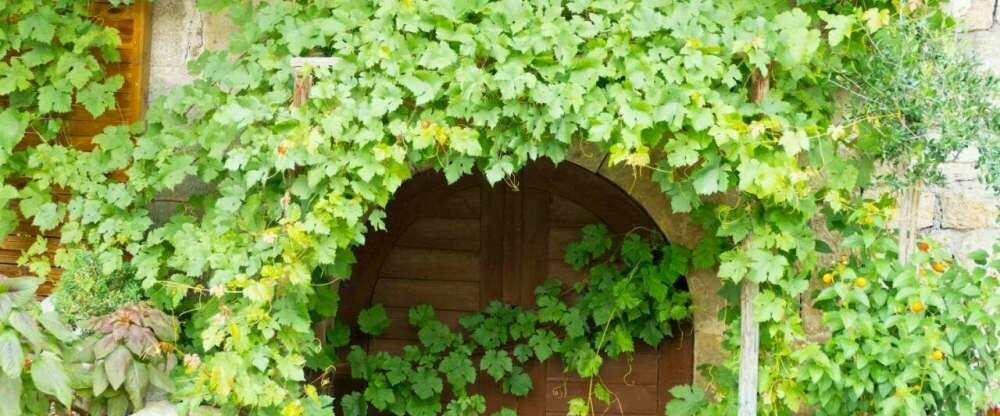 Landgasthof Lell - Umgebung