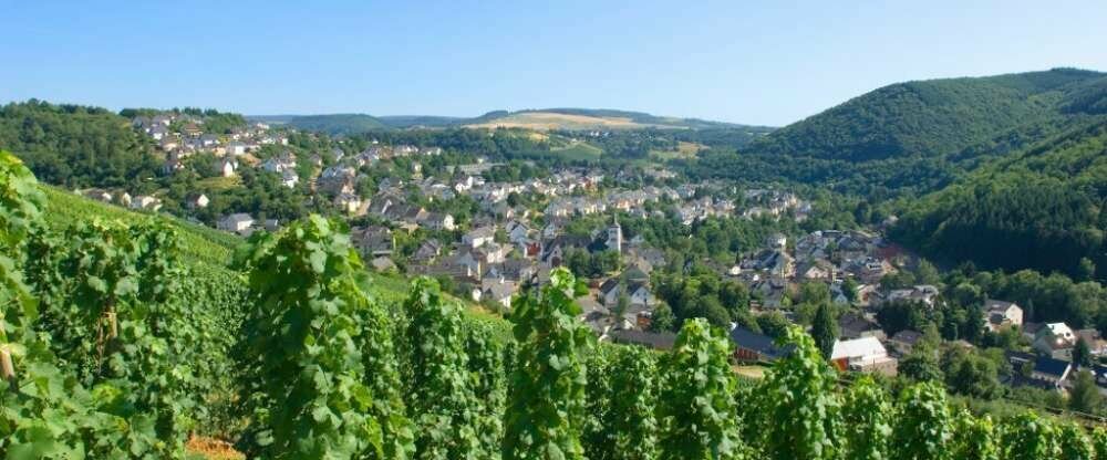 Landgasthof Simon - Umgebung