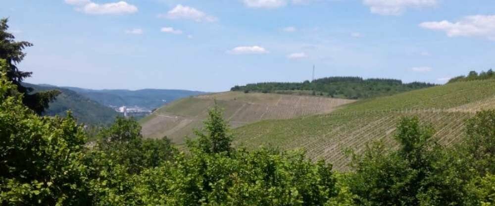 Landgasthof Simon - Umgebung