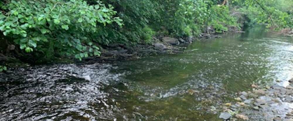 Landgasthof Simon - Umgebung