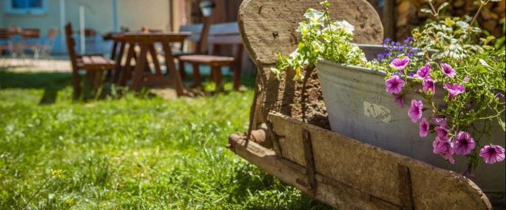 Landgasthof Weberhans - Terrasse/Außenbereich