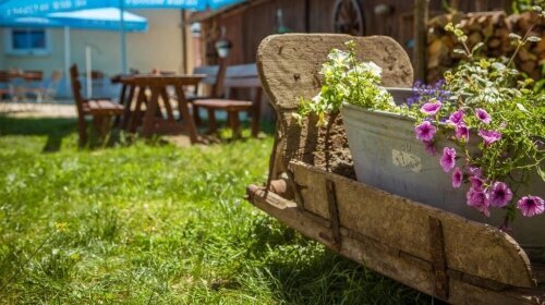 Landgasthof Weberhans - Terrasse/Außenbereich